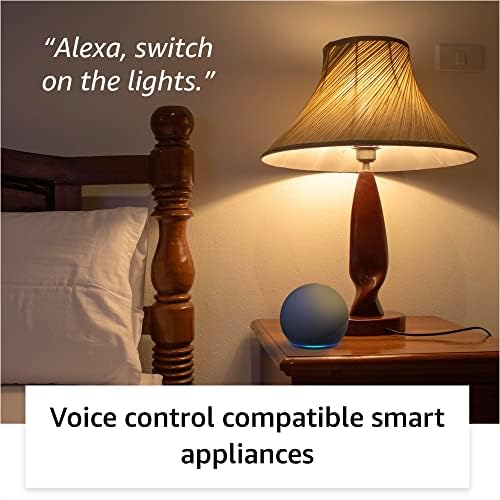 Amazon Echo Dot (5th Gen, Black) Combo with Wipro 16A Smart Plug